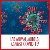 See how the Lab Animal Models are playing a critical role against the COVID-19